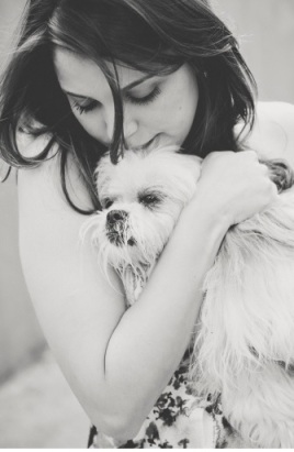 Socializar desde filhotinho ajuda tanto cães “tímidos” como medrosos